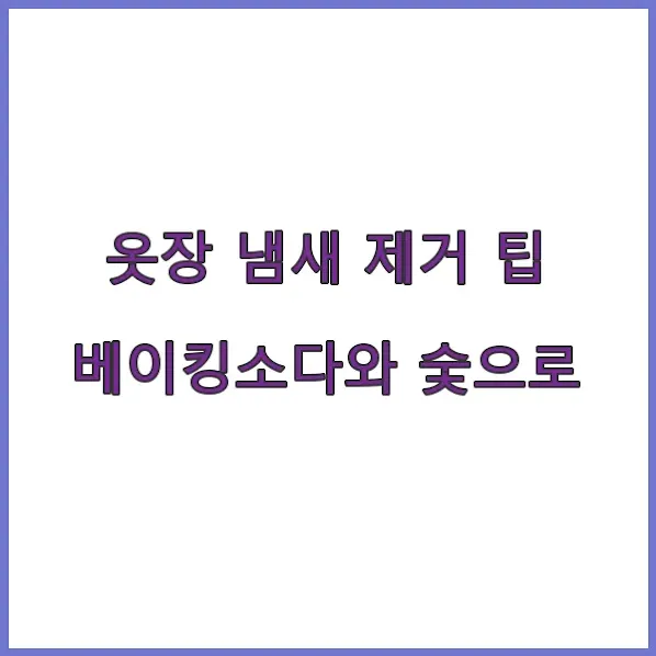 베이킹소다와 숯으로 옷장 냄새 제거
