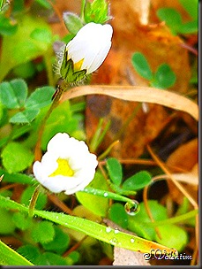P1140256