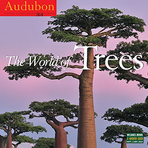 Audubon the World of Trees 2016 Calendar