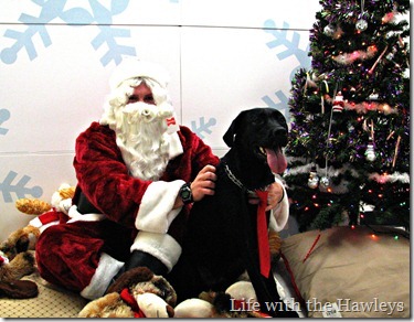 Santa 4-2