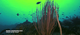 Kekayaan Pulau Selayar menjadi sumber penghidupan masyarakat; nelayan, berkebun, berdagang, pengrajin kapal dan pegawai. Peninggalan sejarah Kabupaten Kepulauan Selayar mencerminkan Pulau Selayar menjadi lokasi strategis dan mempunyai peranan penting di masa lampau.