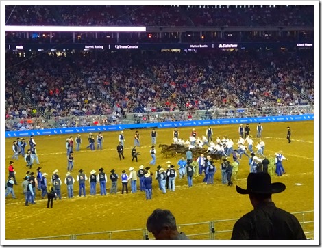 Houston Rodeo and Concert