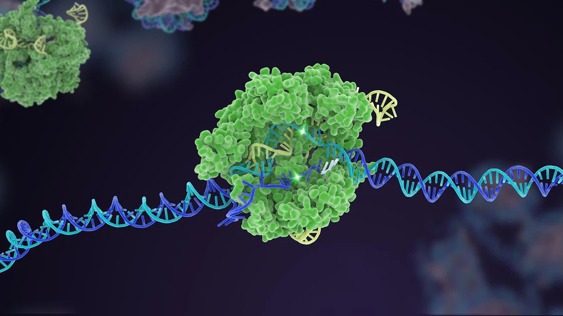 CRISPR Pengobatan Penyakit Genetik