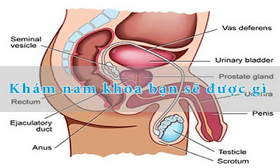 Khám nam khoa điều trị bệnh tuyến tiền liệt ở nam giới -2