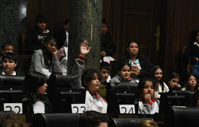 Foto 5: alumna legisladora levantando la mano.