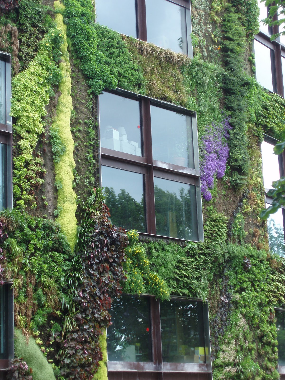 ... Gardener: How to Build Your Own Living Wall or Vertical Garden