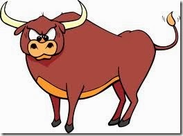 bull5