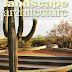 Landscape Architecture - 03/2010