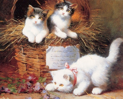 Cute Kittens