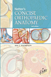 Netter’s Concise Orthopaedic Anatomy