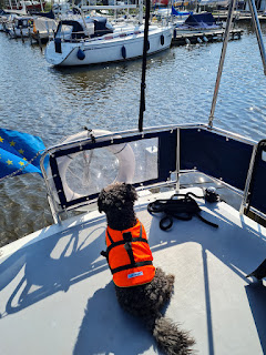 Mit Hund auf dem Boot