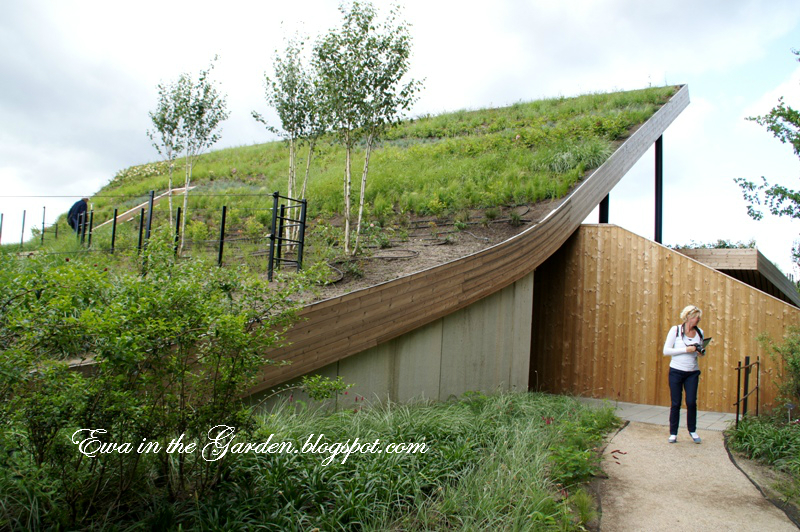 Ewa in the Garden: 8 photos of most impressive green roof ...