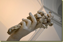 FLora Maggiore detail 1