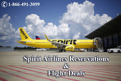 Spirit Airlines Reservations