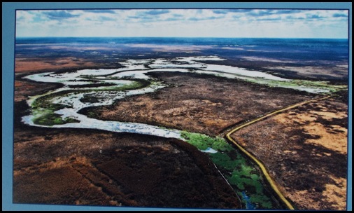 La Chua Trail 225 aerial view