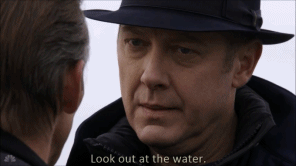 Look out at the water gif
