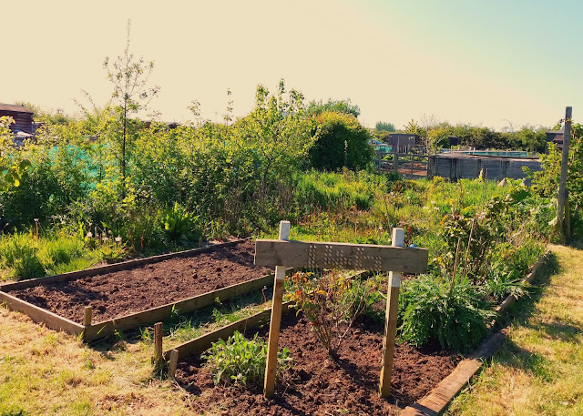 bloody weeds!! - www.growourown.blogspot.com - an ecotherapy blog