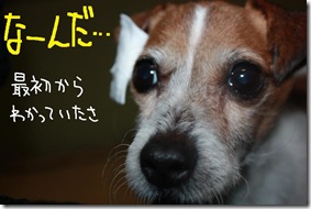 今日カズ１００５０２　３