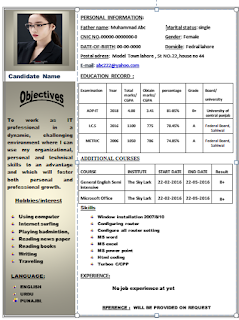 professional CV designs 2022