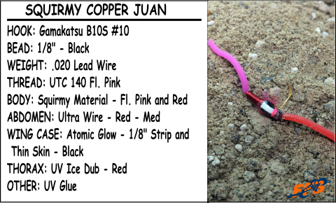 Squirmy Copper Juan Recipe Card