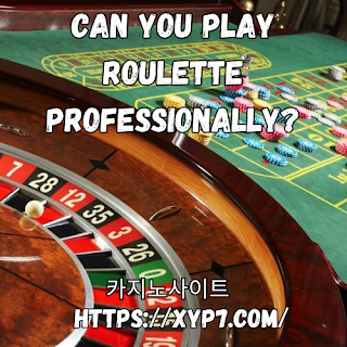 Can You Play Roulette Professionally?