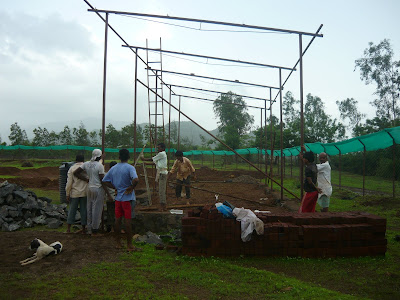 setting up of animal shelter in karjat by terra anima trust for animal welfare