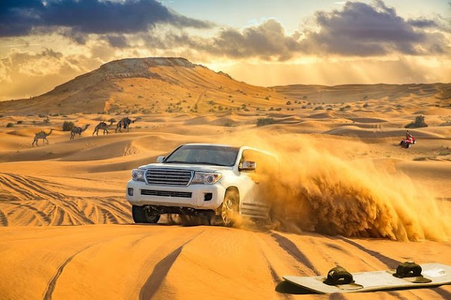 Dune Bashing