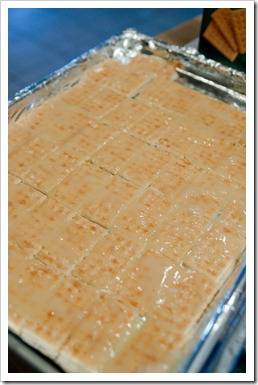 nuttycrackerdelight3