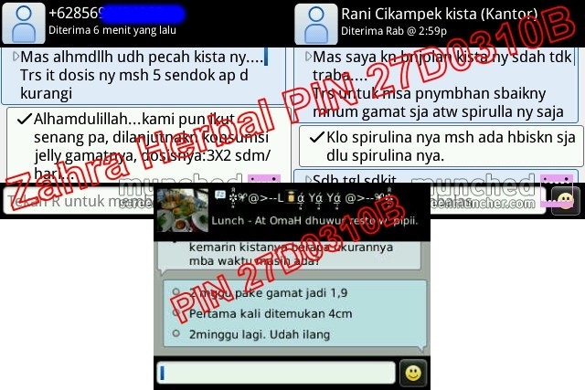 Obat Herbal Yang Bisa Mengobati Kista Bartholin