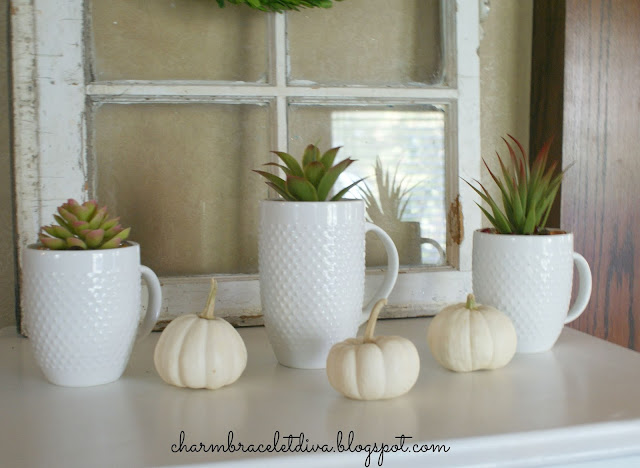 Succulent Display Coffee Mugs Teacups