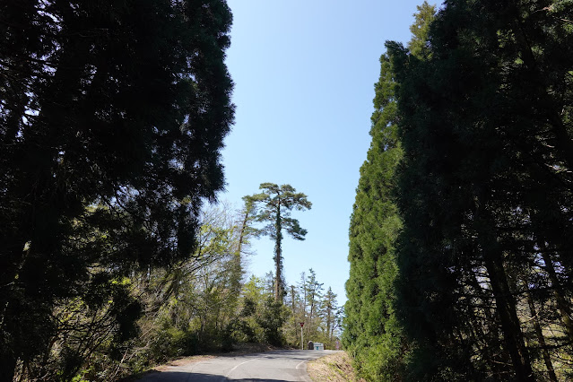 鳥取県西伯郡大山町鈑戸