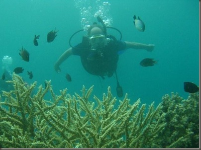 Steve Swimming with the Fishes