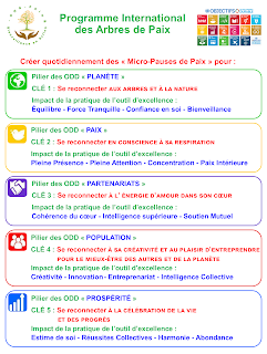  Découvrez le Programme International des Arbres de Paix et des ODD d'un seul clic