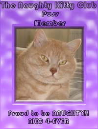 puss member 9 27.jpg