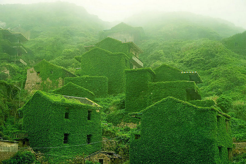 houtouwan village,  abandoned chinese fishing village,  abandoned fishing village china,  houtouwan china, gougi island,  shengshan,  shengshan island,  shengsi china,  shanghai fishing village,  shengsi island, shengsi islands,  fishing village,  abandoned village in china overtaken by nature,  abandoned places in china,