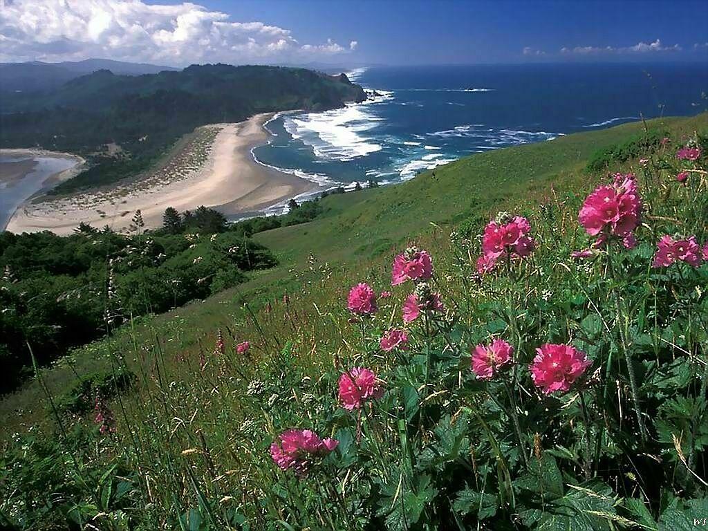 Best Beach Nature Wallpaper Backgrounds New