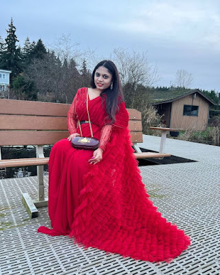 Saree Design
