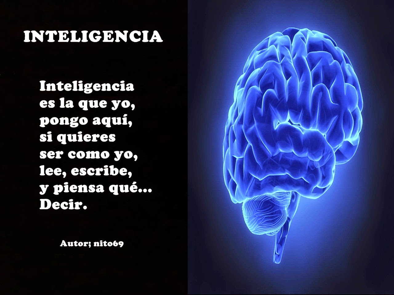 INTELIGENCIA