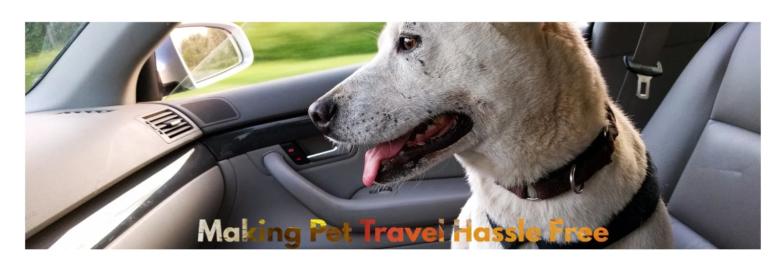 Travelling with your dog