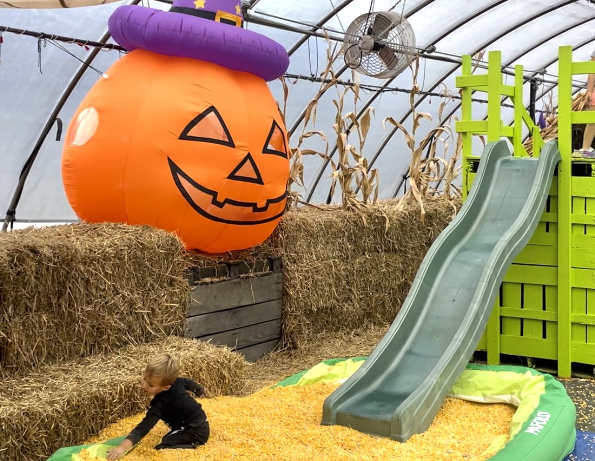 Pumpkin Maze