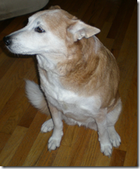 daisy sitting