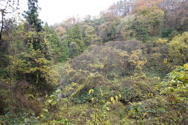 鳥取県西伯郡伯耆町金屋谷 袋小路からの眺望