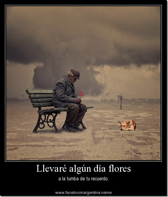 imagenes con frases de desamor y tristeza (2)