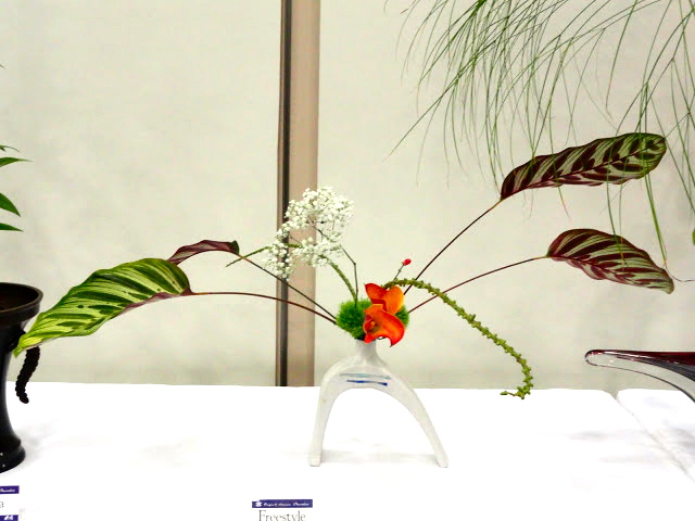 Ikebana Workshop at the Botanic Gardens