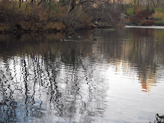 Central Park, the Pond