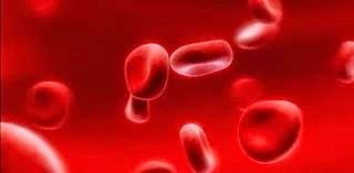 Effective Ways Of Preventing Sickle Cell Anemia