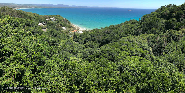 Lush green forest with a few houses and the blue ocean in the background.