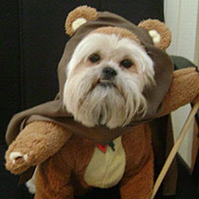 Roupas para Cachorros | Star Wars