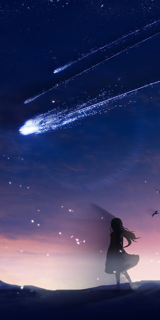 Starfall in the sky