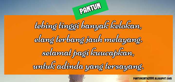 Pantun Selamat Pagi Lucu Romantis Singkat Bergambar